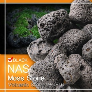 NAS 모스 스톤 블랙 [모스활착용 화산석] 1kg